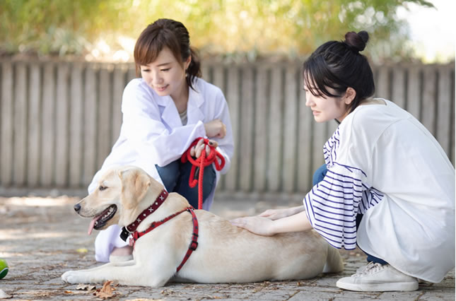 自然療法イメージ